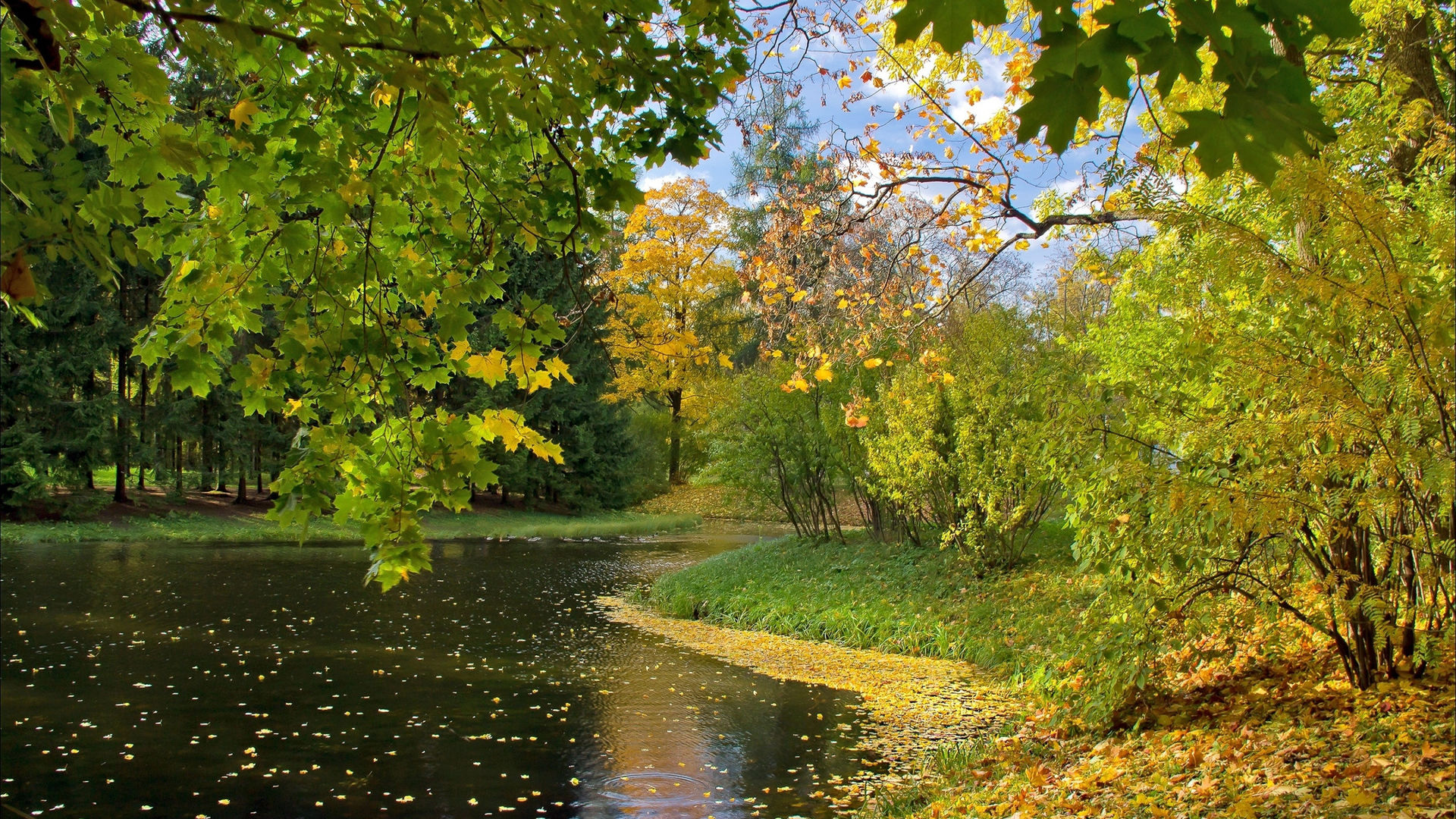 природа, осень, германия