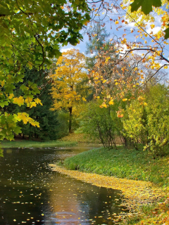 природа, осень, германия