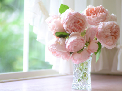 розы, бутоны, розовые, подоконник, ваза, лепестки