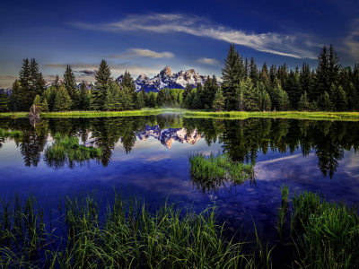 гранд-титон, beaver pond, wyoming, grand teton national park, rocky mountains