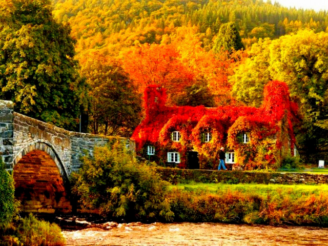 осень, деревья, река, домик