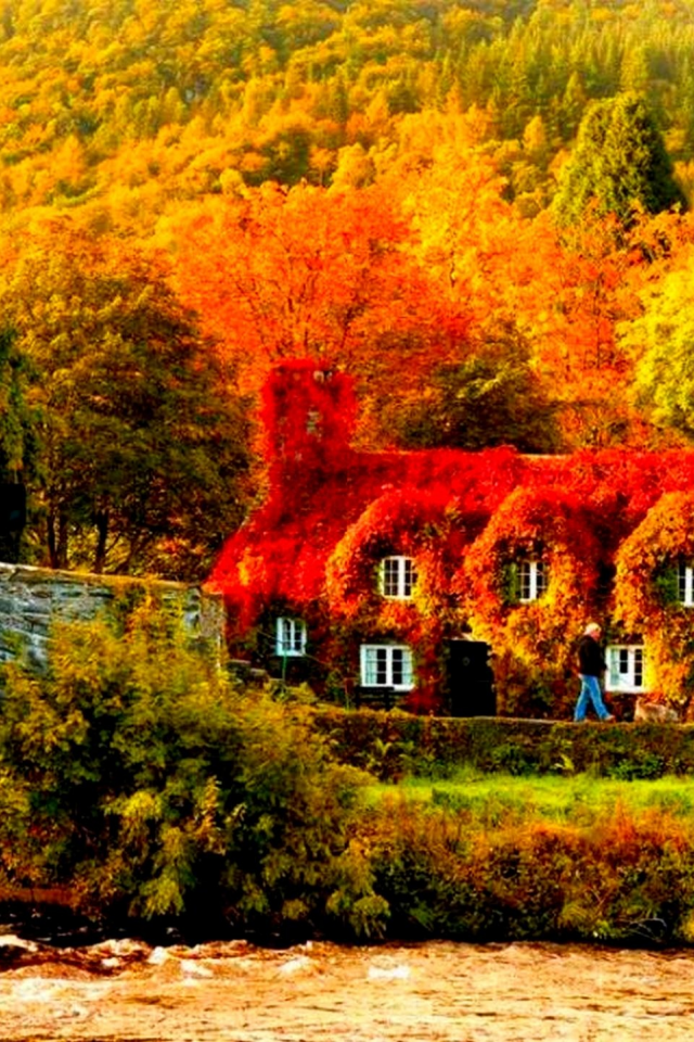 осень, деревья, река, домик