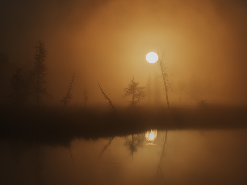 ночь, болото, туман, луна, полнолуние, отражение