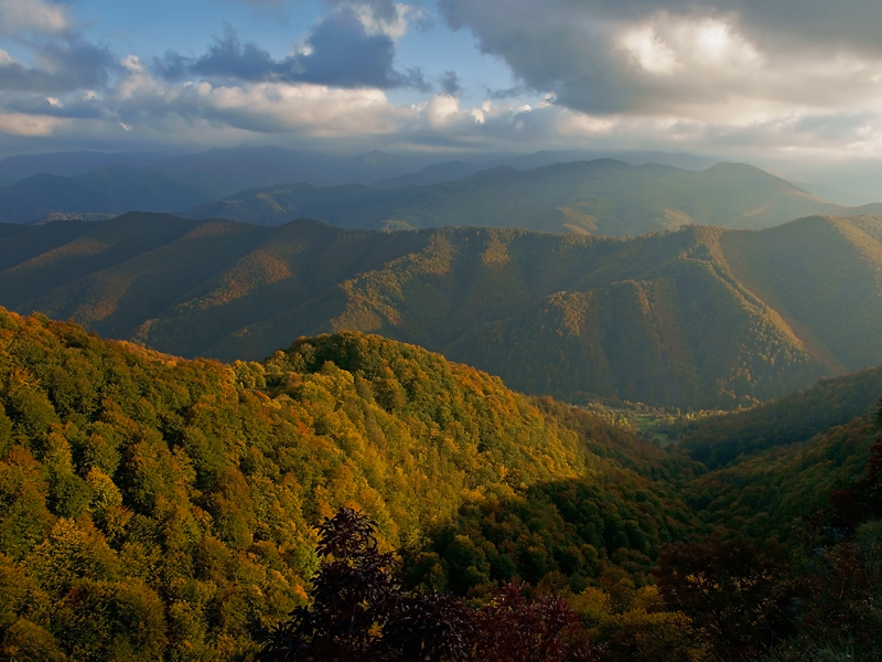 осень, Стара планина, Балканские горы, Болгария, горы, деревья, лес, небо, облака, лучи, туманы, трава, пейзаж, природа