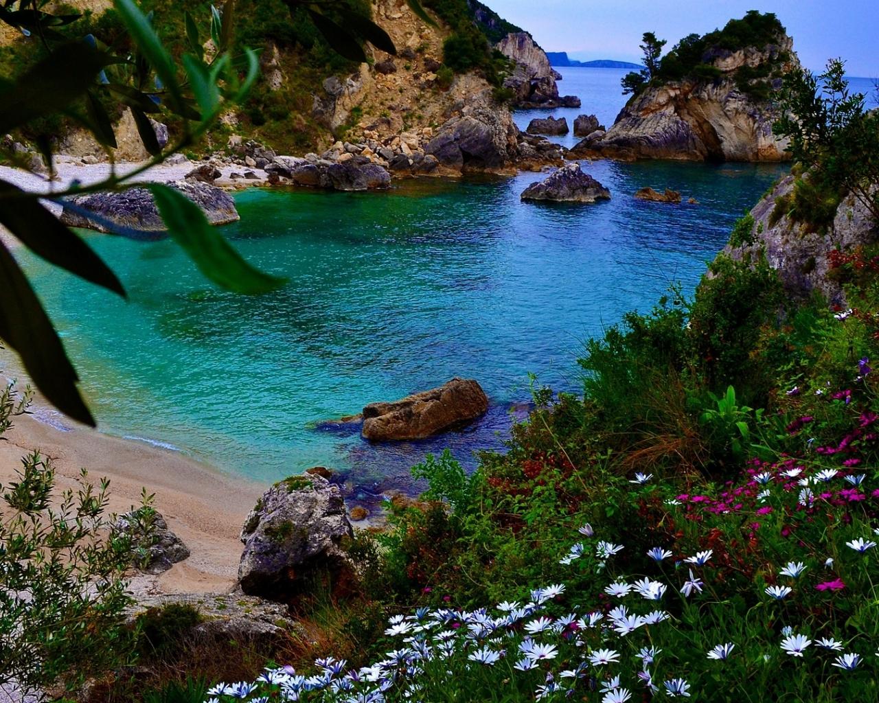 пляж, океан, цветы