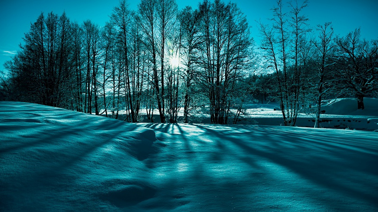 природа, зима, снег, деревья, солнце, лучи