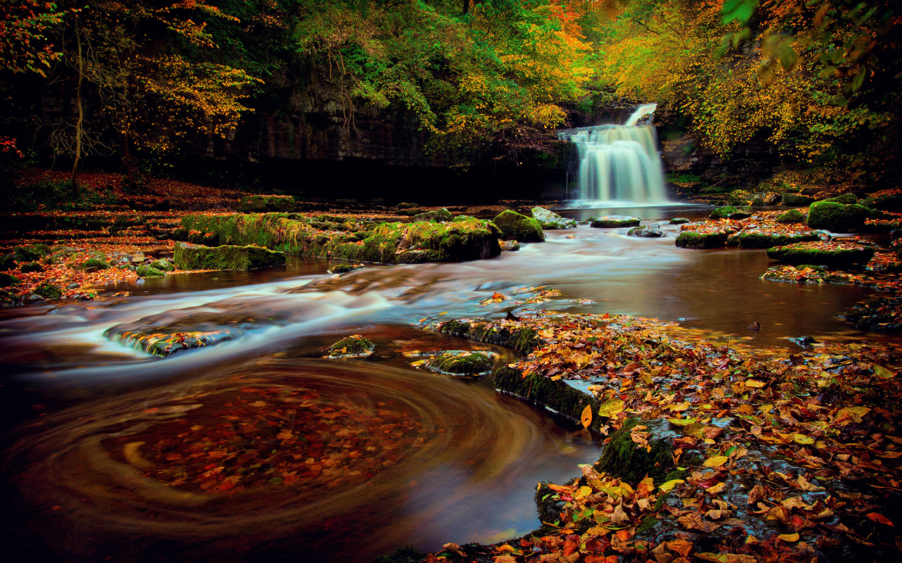 водопад, осень, листья, деревья