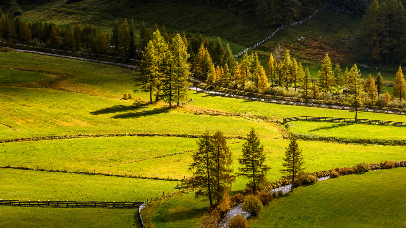 Fields, Grass, Trees, поля, деревья, лето