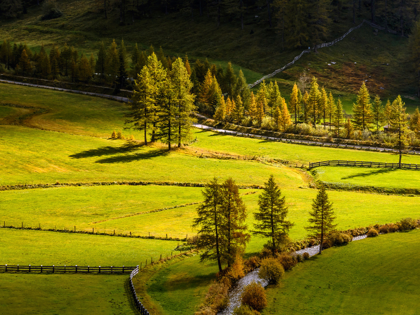 Fields, Grass, Trees, поля, деревья, лето