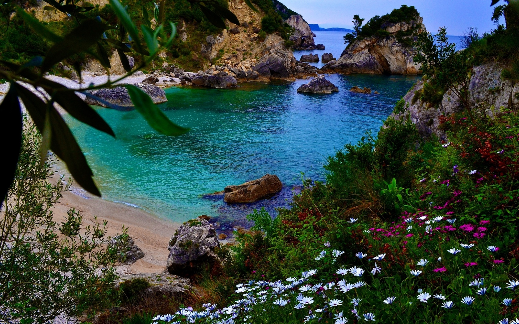 пляж, океан, цветы