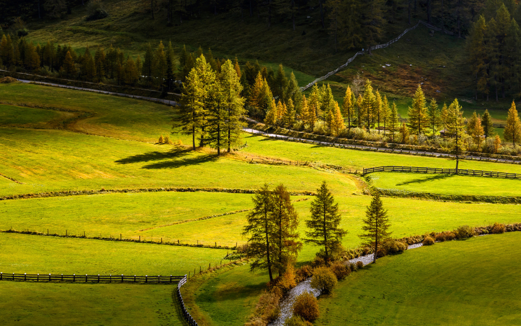 Fields, Grass, Trees, поля, деревья, лето