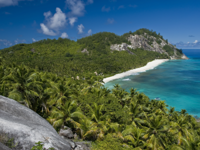 солнце, отдых, beach, океан, пальмы, seyshelles, nord island, palms, лето