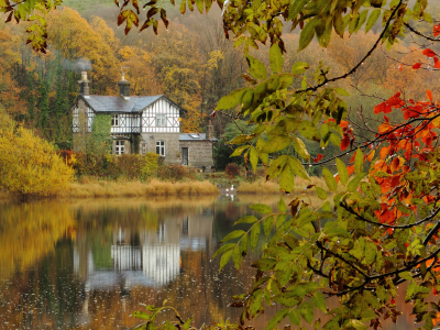 природа, осень, дом, озеро