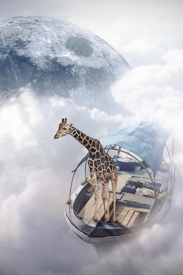 photomanipulation, жираф, finearts, sky sailor