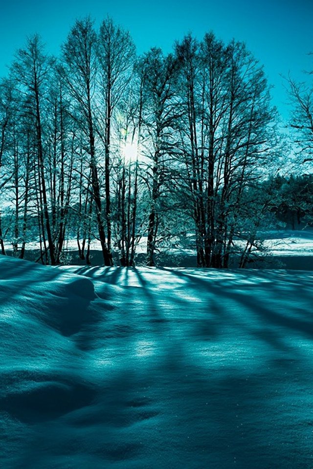 природа, зима, снег, деревья, солнце, лучи