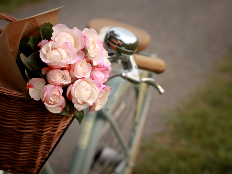 розы, белые, корзина, велосипед, розовые, пакет, цветы