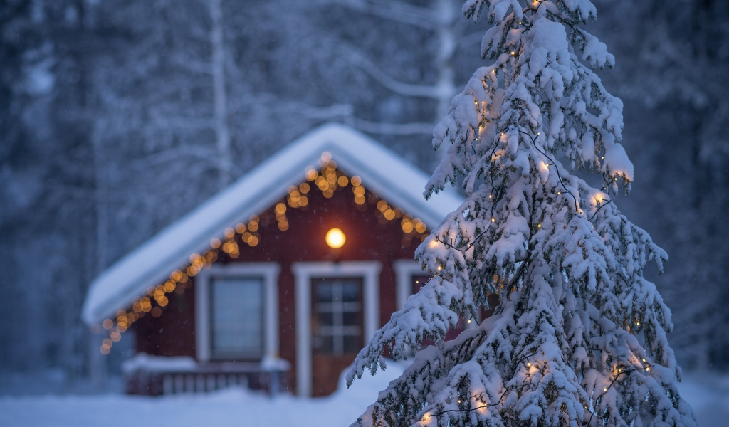 Lapland, Finland, Лапландия, Финляндия, ель, гирлянда, дом, зима