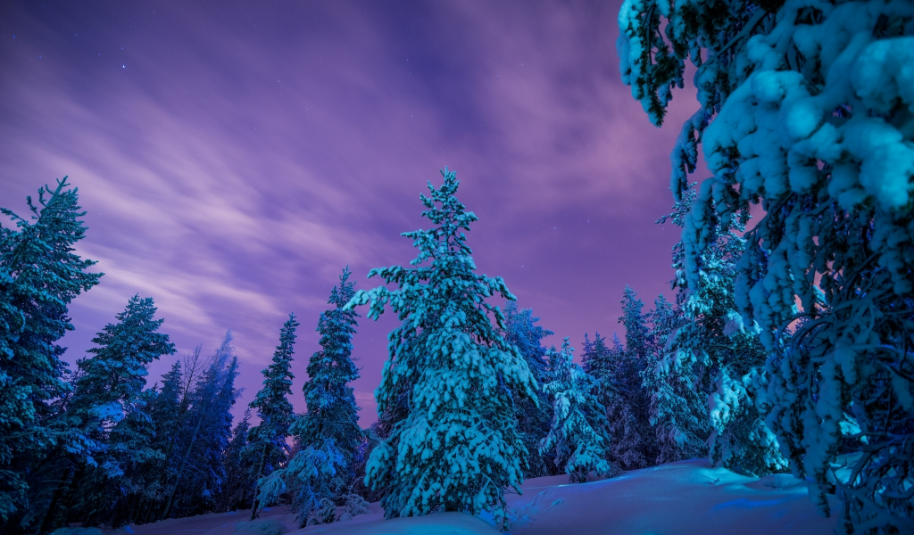 Lapland, Finland, Лапландия, Финляндия, зима, снег, сугробы, лес, деревья