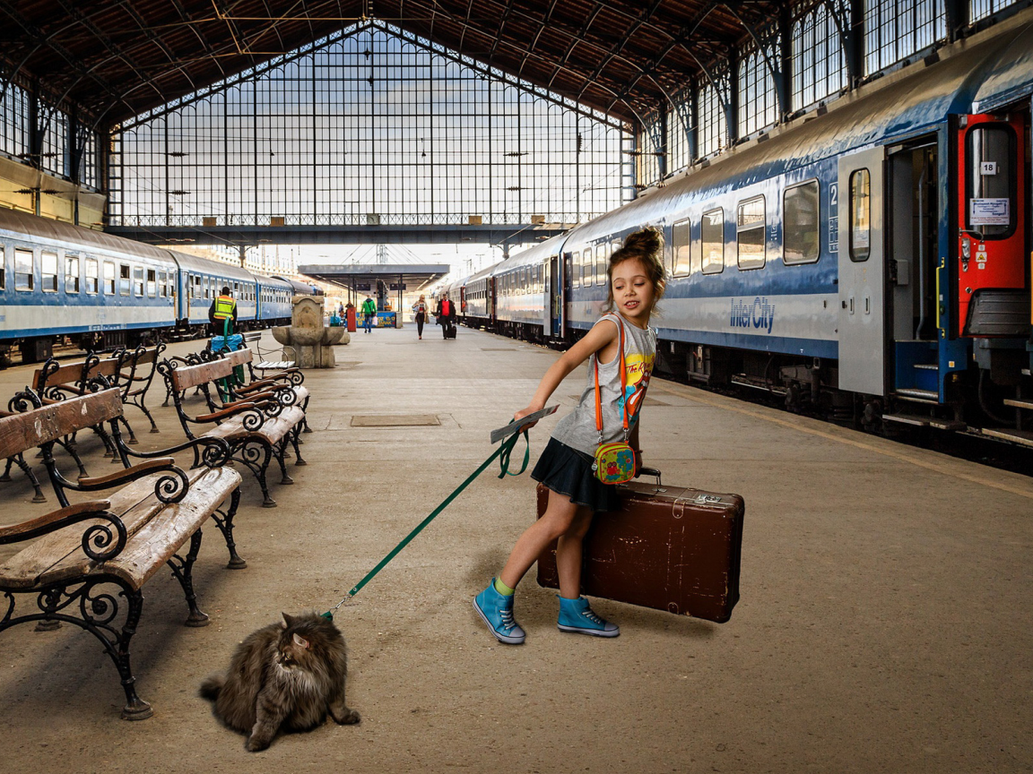 поезд, вагоны, девочка, чемодан, кошка, перрон