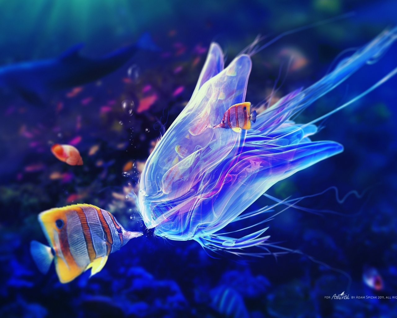 под водой, рыбки, медуза