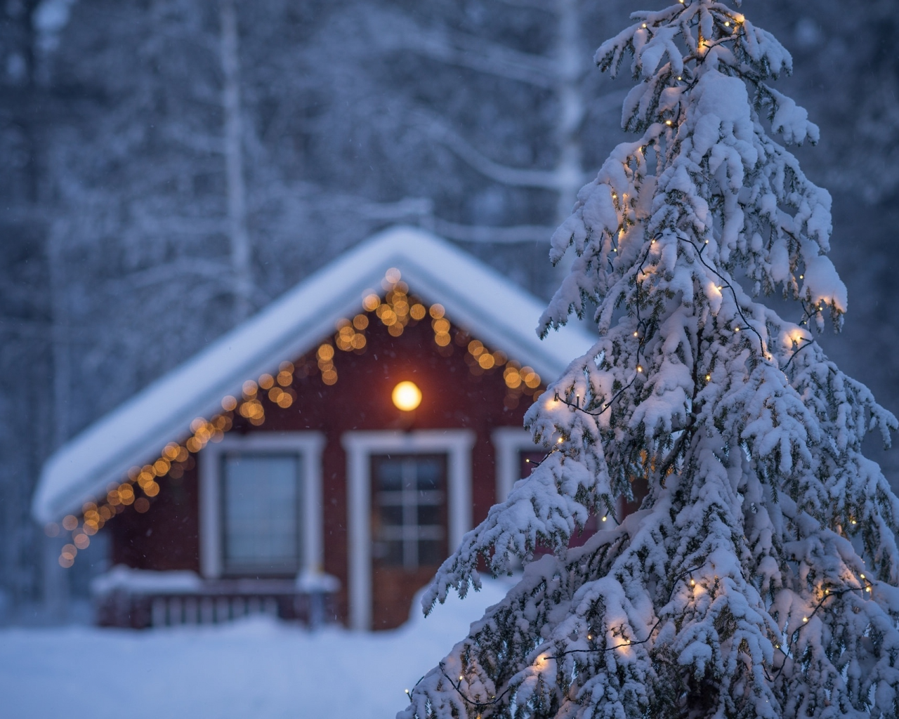 Lapland, Finland, Лапландия, Финляндия, ель, гирлянда, дом, зима