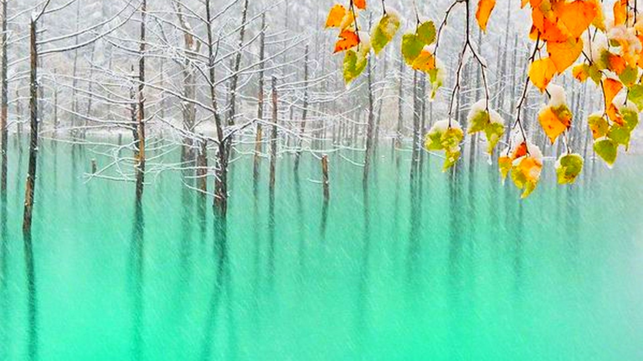 зима, лёд, озеро, деревья