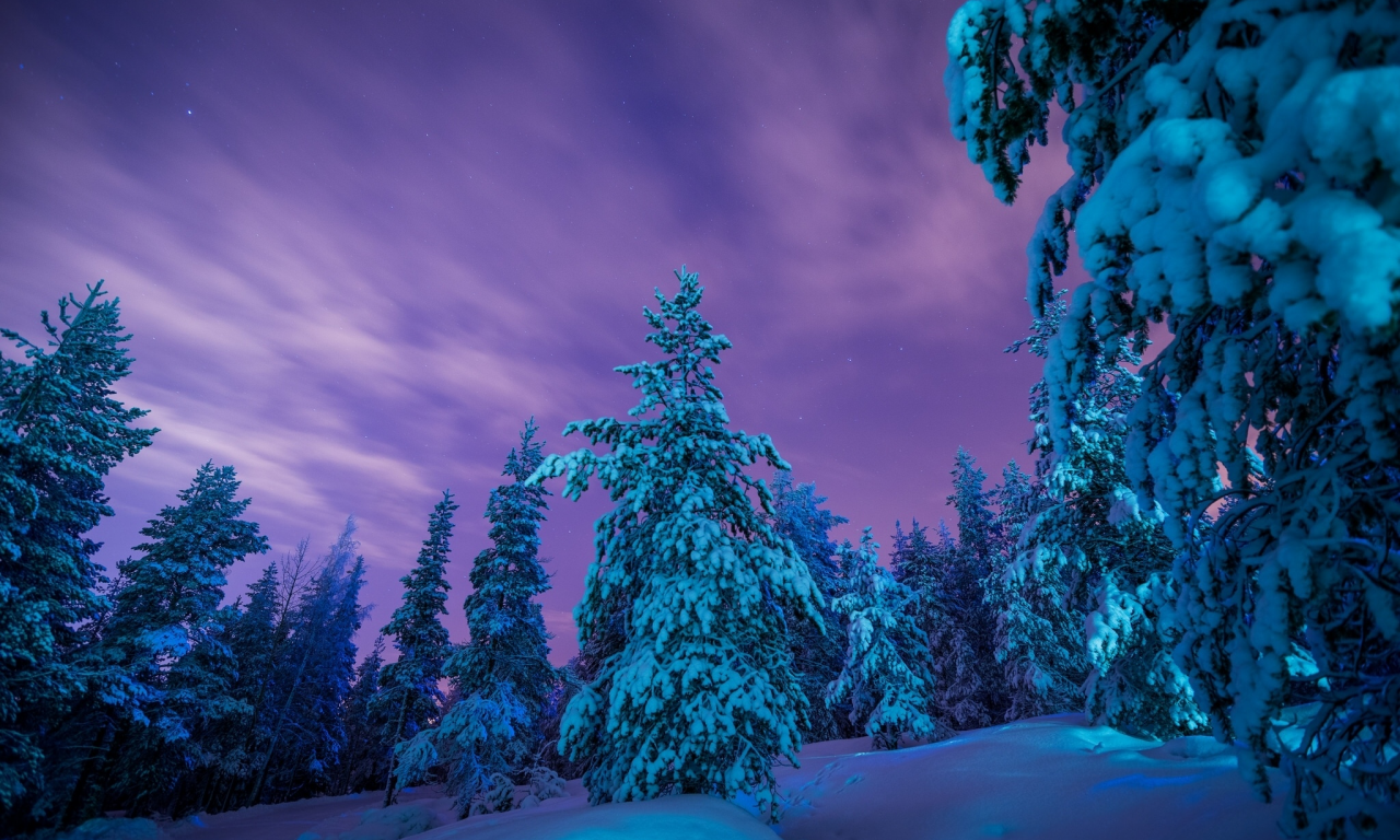 Lapland, Finland, Лапландия, Финляндия, зима, снег, сугробы, лес, деревья
