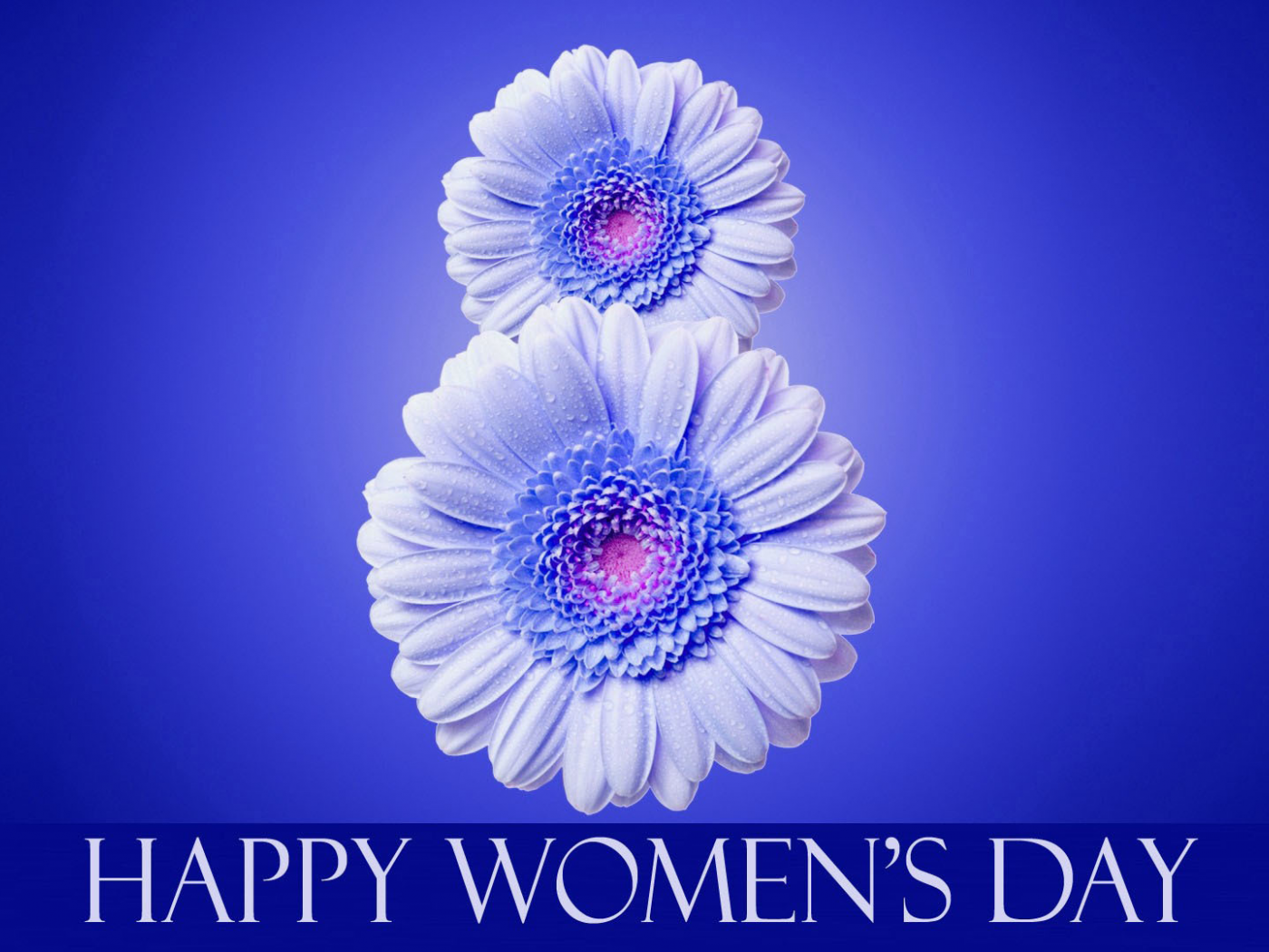  международный женский день, 8 марта, надпись, цветы