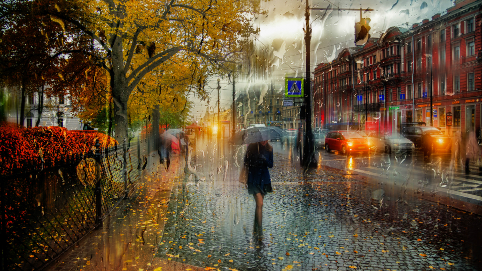 осень, город, улица, дождь, прохожие, зонтик