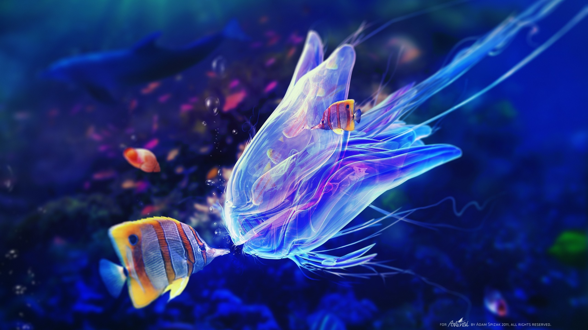 под водой, рыбки, медуза