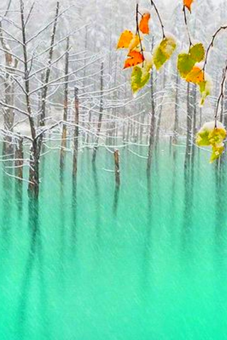 зима, лёд, озеро, деревья