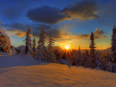 снег, лес, зима, дом, деревья, небо, мороз, солнце, облака