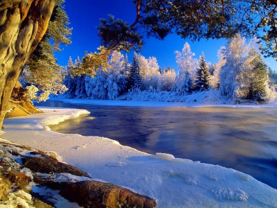 зима, иней, деревья, река