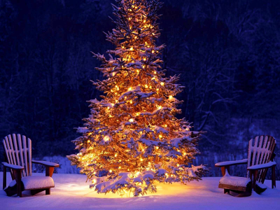 новый год, ель, огни, праздник, снег, зима, деревья, рождество