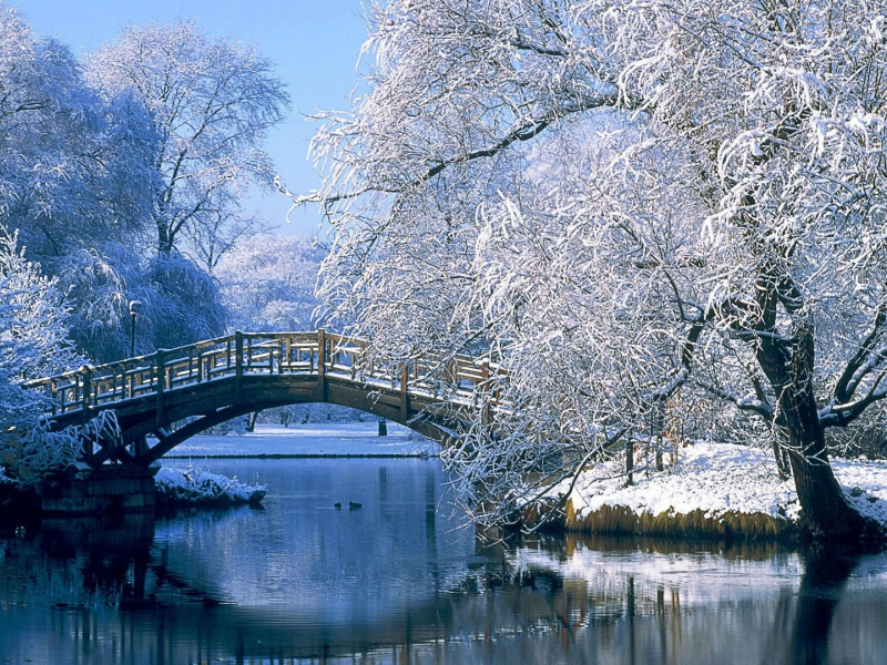 зима, мост, иней, деревья