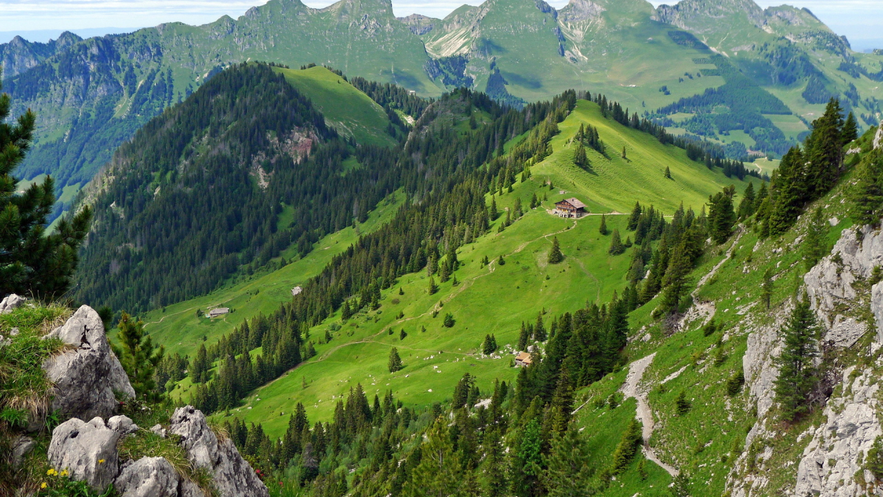 швейцария, домик, gastlosen, горы, лес, switzerland, лето