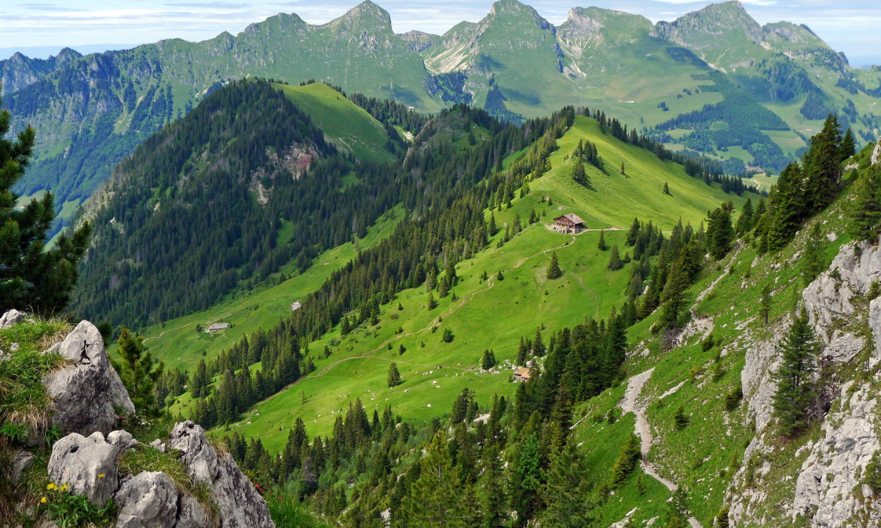 швейцария, домик, gastlosen, горы, лес, switzerland, лето