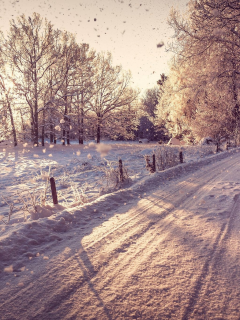 зима, дорога, снег