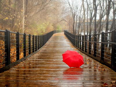 fall, forest, umbrella, view, leaves, river, water, rain, park, walk, autumn, nature, bridge, trees