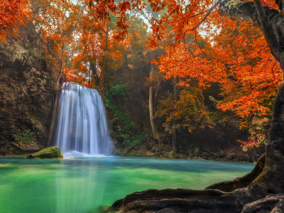 природа, водапад, дерево, красиво