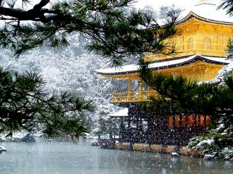 япония, дом, озеро, зима, снег