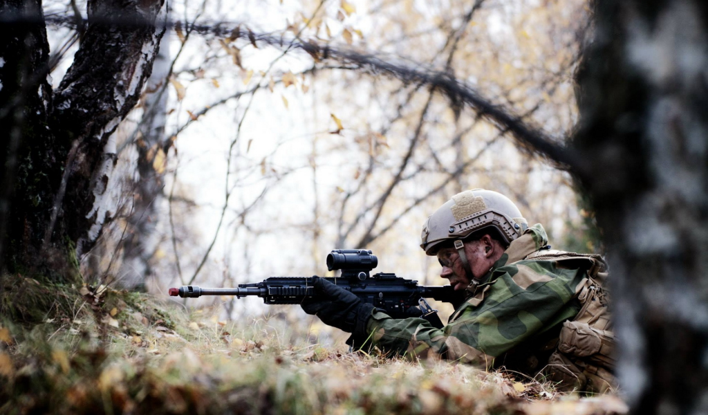 оружие, солдат, norwegian army