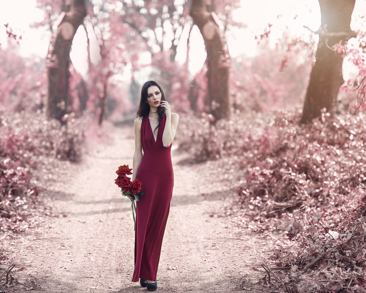 модель, красное платье, платье, розы, цветы, дорога, осень, настроение, стиль