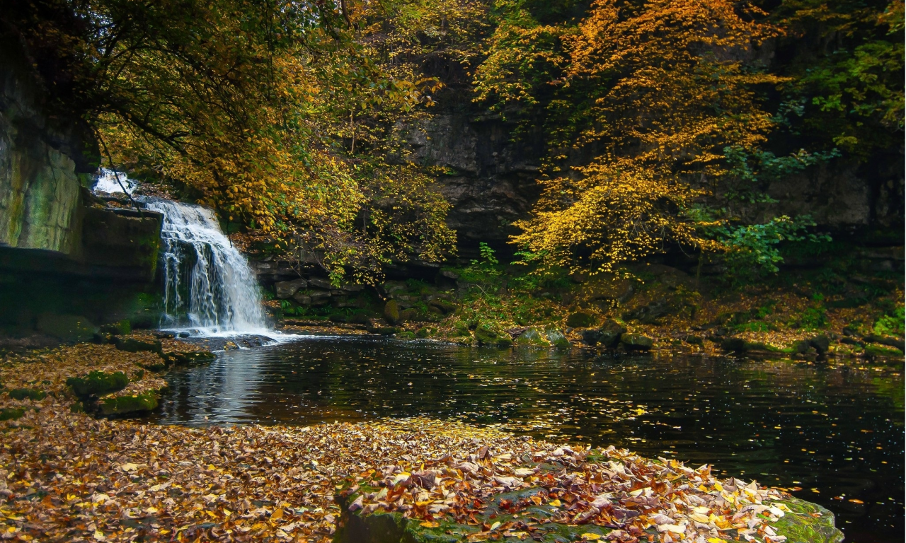 природа, водопад, камни, листья