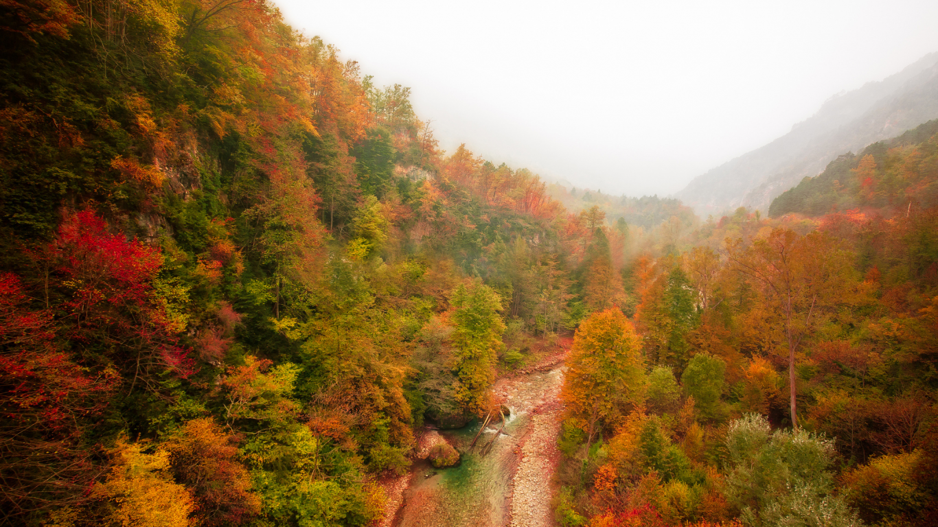 река, осень, горы, лес, туман