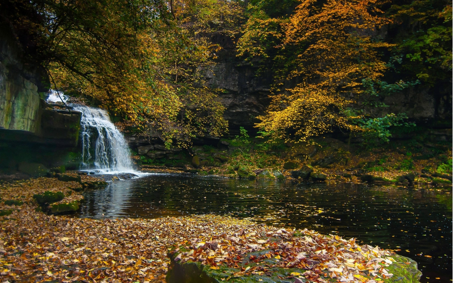 природа, водопад, камни, листья