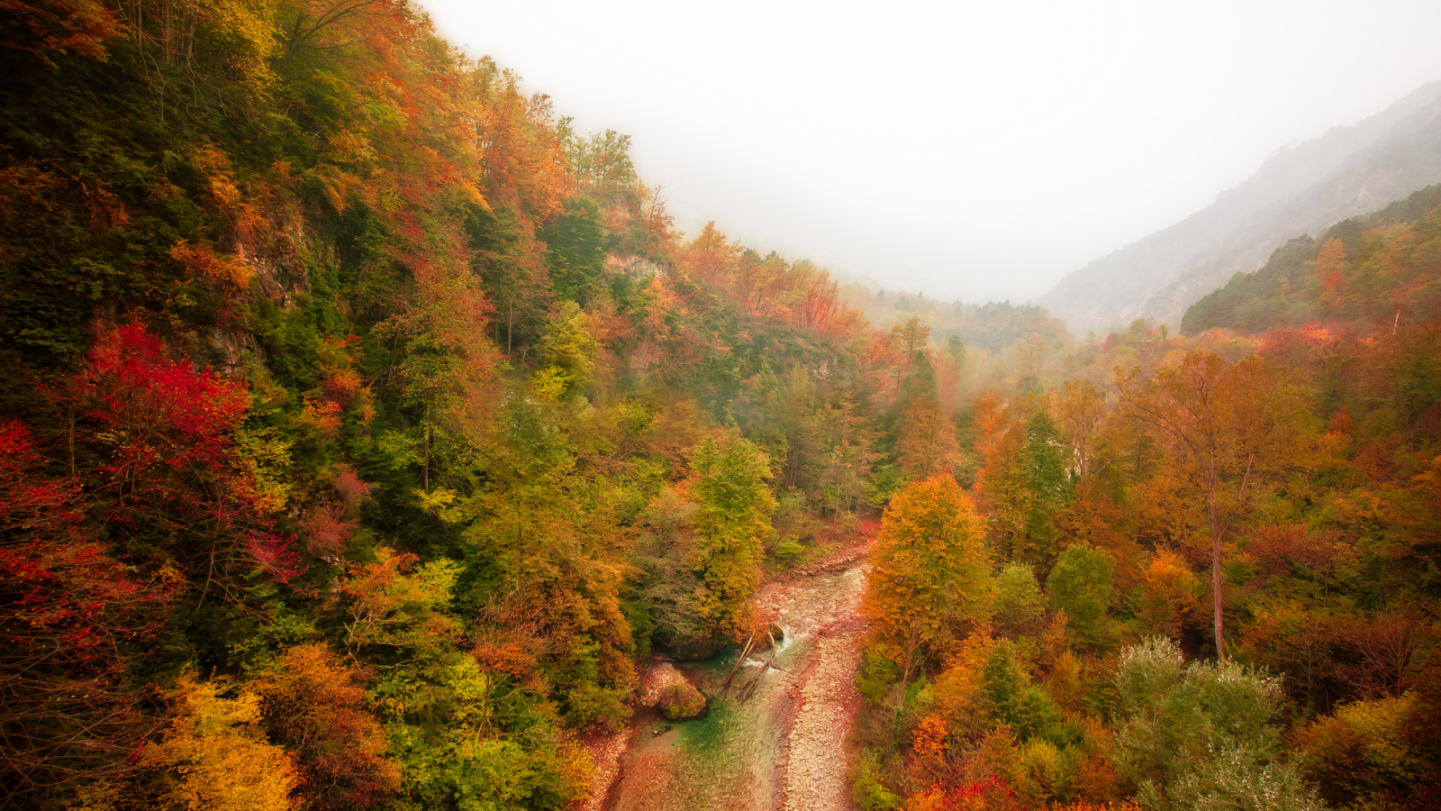 река, осень, горы, лес, туман