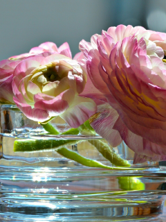 ваза, цветы, азиатский лютик
