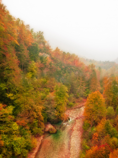 река, осень, горы, лес, туман