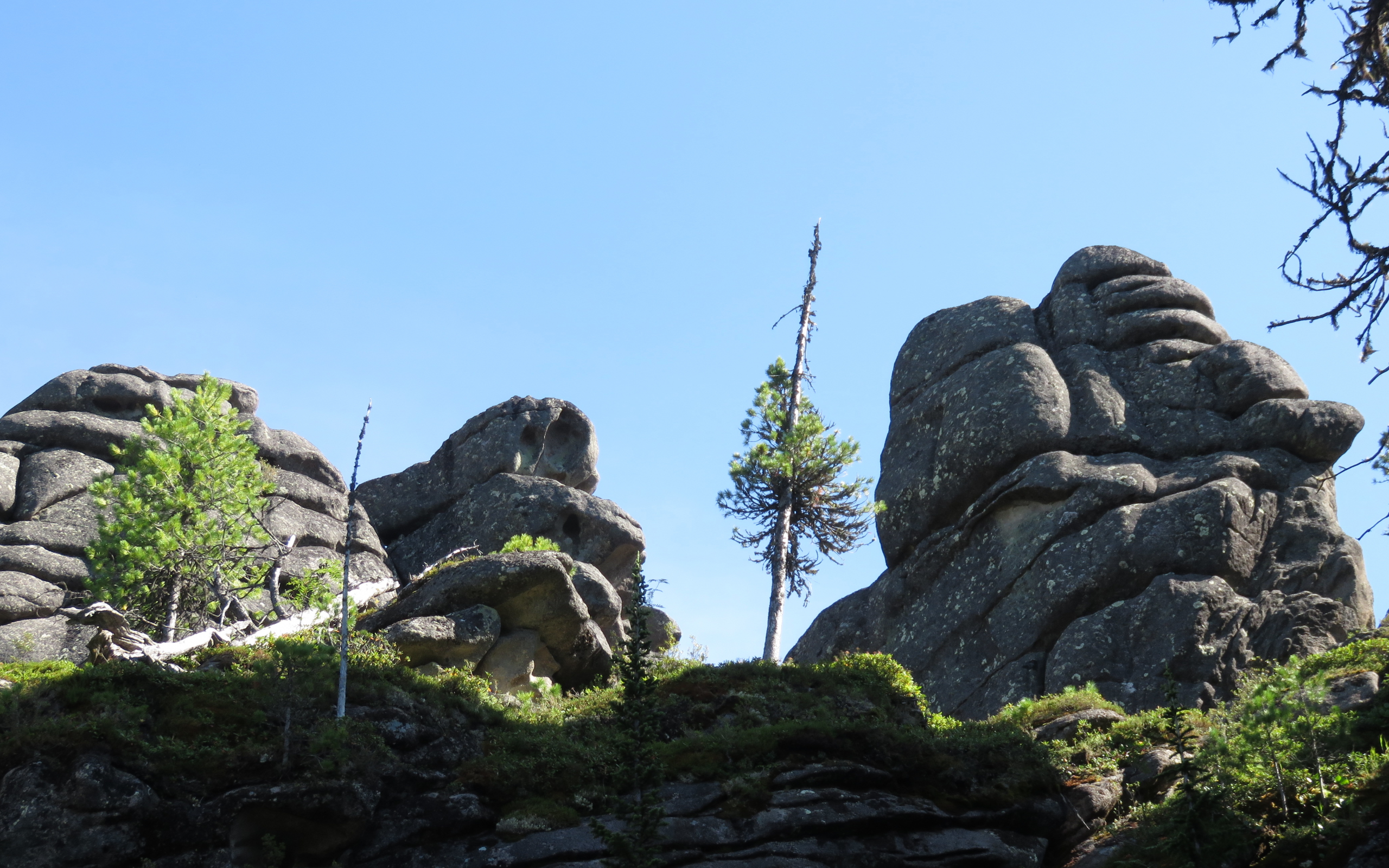 горы, деревья, каменный городок, саяны, тп